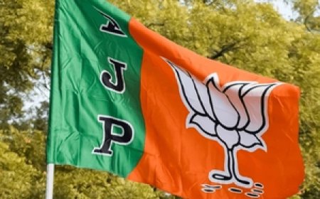 मध्य प्रदेश में भाजपा ने सभी 29 सीटों पर जीत दर्ज की