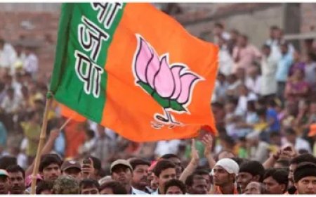 भाजपा ने हिमाचल प्रदेश, एमपी और उत्तराखंड विधानसभा उपचुनाव के लिए उम्मीदवारों के नामों का किया ऐलान