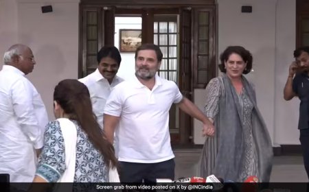 प्रियंका गांधी लड़ेंगी वायनाड से चुनाव, राहुल गांधी बने रहेंगे रायबरेली के सांसद