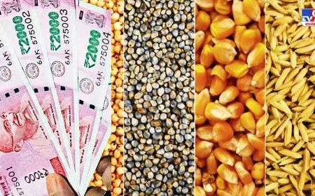 खरीफ की फसलों के लिए एमएसपी बढ़ाने के फैसले की सत्ता पक्ष ने की सराहना, किसान नेता ने दी प्रतिक्रिया