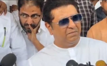 महाराष्ट्र विधानसभा चुनाव को लेकर राज ठाकरे की पार्टी एमएनएस की अहम बैठक, तय हुई रणनीति