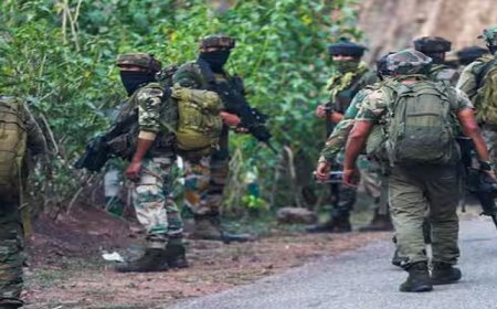 कठुआ में सुरक्षा बलों का बड़े पैमाने पर तलाशी अभियान, दो दर्जन से अधिक हिरासत में