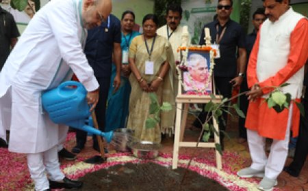 पीएम मोदी का 'एक पेड़ मां के नाम' अभियान बना आंदोलन : अमित शाह