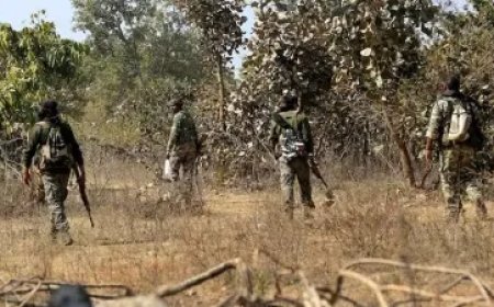 महाराष्ट्र-छत्तीसगढ़ सीमा पर पुलिस और नक्सलियों के बीच मुठभेड़, छह घंटे तक चली फायरिंग, 12 नक्सली ढेर