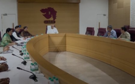 गुजरात में तेजी से फैल रहा चांदीपुरा वायरस, सीएम भूपेंद्र पटेल ने की समीक्षा बैठक