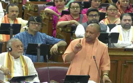 उत्तर प्रदेश में लव जिहाद कानून: विधानसभा में विधेयक पास, दोषियों को आजीवन कारावास