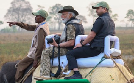 पीएम मोदी के दौरे के बाद काजीरंगा में बढ़े पर्यटक : असम के मुख्यमंत्री