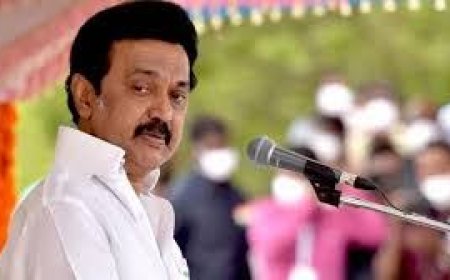 अमेरिका की यात्रा पर आज रवाना होंगे तमिलनाडु के सीएम एमके स्टालिन