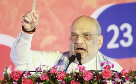 हरियाणा विधानसभा चुनाव : किसान मतदाताओं को ऐसे साधेगी भाजपा