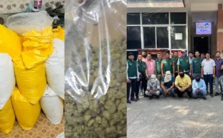दिल्ली पुलिस ने किया अब तक का सबसे बड़ा ड्रग्स रैकेट का पर्दाफाश, 562 किलो कोकीन बरामद