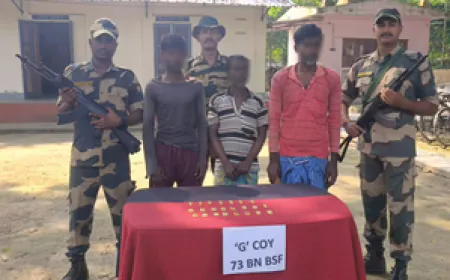 बीएसएफ ने भारत-बांग्लादेश सीमा पर 2.75 किलो सोना जब्त किया, तीन किसान गिरफ्तार