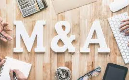 भारत में विलय एवं अधिग्रहण सौदों की वैल्यू 2024 के पहले नौ महीने में 66 प्रतिशत बढ़ी