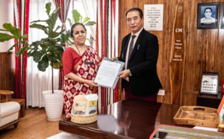 लालेंगमाविया बने मिजोरम के कार्यवाहक मुख्य सचिव