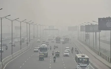 दिल्ली प्रदूषण : निर्माण, पुराने वाहनों, पेंटिंग, पॉलिशिंग, चिनाई पर प्रतिबंध, 20 हजार का जुर्माना 