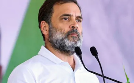 झारखंड विधानसभा चुनाव के नतीजों पर राहुल गांधी ने प्रतिक्रिया दी, कहा- 'यह जीत संविधान और जल-जंगल-जमीन की रक्षा की है'