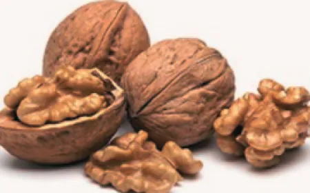 स्वस्थ दिल और दिमाग के लिए रामबाण है मस्तिष्क जैसा दिखने वाला यह ड्राई फ्रूट