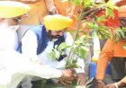 Punjab में हरियाली की नई क्रांति: Mann सरकार ने बढ़ाया Tree Cover 177.22 Square Kilometers तक!
