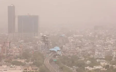 Delhi-NCR में बढ़ता Pollution: हर साल विकराल हो रही है Air Crisis, जानिए क्या कहते हैं Experts और क्या हैं इसके solutions