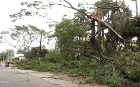 Cyclone Montha ने मचाई तबाही: Andhra Pradesh से टकराने के बाद Odisha पहुंचा तूफान, तेज हवाओं और बारिश से जनजीवन प्रभावित