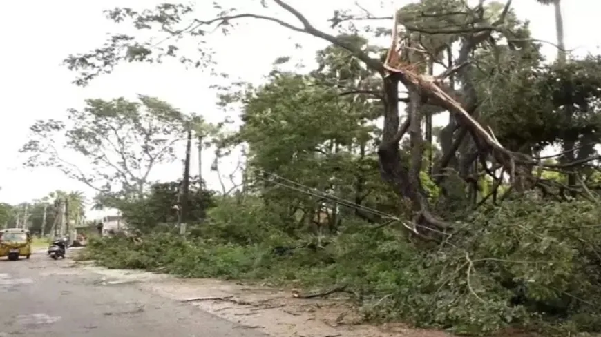 Cyclone Montha ने मचाई तबाही: Andhra Pradesh से टकराने के बाद Odisha पहुंचा तूफान, तेज हवाओं और बारिश से जनजीवन प्रभावित