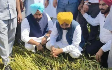 “अपना CM – अपने खेता विच”: किसानों के खेतों तक पहुंचकर CM Bhagwant Mann ने बदली Punjab की तस्वीर