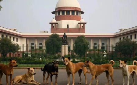 Supreme Court का बड़ा फैसला: अब सड़कों पर नहीं दिखेंगे आवारा कुत्ते, 8 हफ्तों में कार्रवाई का आदेश