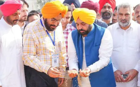 Mann सरकार का कमाल: 150 Lakh MT से ज़्यादा धान खरीद, 11 Lakh किसानों को तेज़ भुगतान — Punjab ने बनाया Record