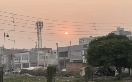 Haryana में ठंड ने दी दस्तक: कई शहरों में Temperatures 7 degrees से नीचे, धुंध और Pollution का असर बढ़ा