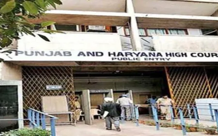 Haryana Pensioner के Account से Bank ने काटे 6.63 Lakh, High Court सख्त: बिना Written Consent Pension से कटौती नहीं होगी