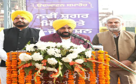 Mann Government ने गन्ना किसानों को दिया देश का सबसे बड़ा तोहफ़ा — ₹416 Per Quintal का दाम, नई Sugar Mill और Power Plant से बढ़ेगी आय