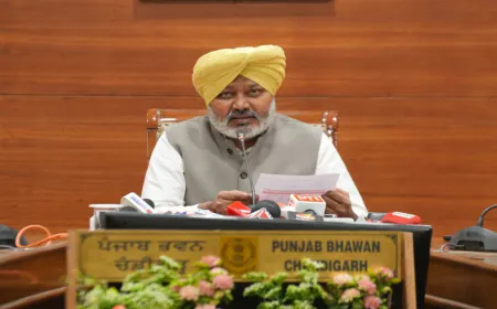 Mann सरकार का master plan! ‘Rangla Punjab’ से संवरेंगे गांव, रोशन होंगे 2850 घर