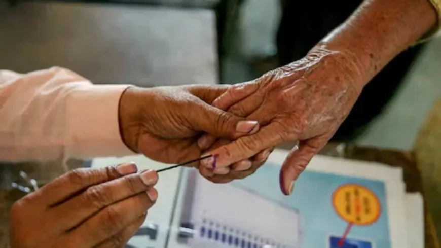 7 राज्यों की 8 Assembly Seats पर By-Elections: कहां कौन आगे, किसकी जीत पक्की—पूरी जानकारी