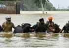 बाढ़ के बाद Dairy Farmers को बड़ा Relief: Punjab Government देगी 59 Lakh रुपये की मदद; Hoshiarpur और Taragarh के किसानों को बड़ा फायदा, Verka Brand का भी विस्तार