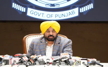Chief Minister Bhagwant Mann का Japan दौरा: Punjab में Investment लाने की बड़ी कोशिश, 25 Japanese Companies से सीधी बातचीत