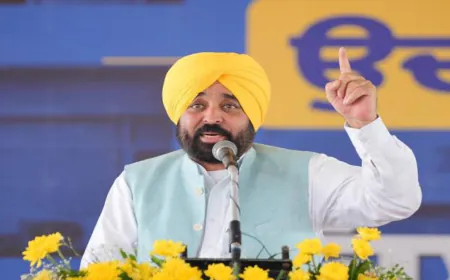 CM Mann का बड़ा Decision: Punjab में drug के खिलाफ अब हर गांव में उतरेगी ‘Nasha-Mukti Sena’, TISS के साथ मिलकर तैयार होंगे 35 Fellows