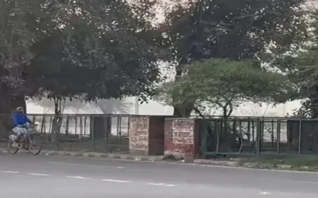 Haryana में 4 Districts में Cold Wave Alert; अगले 3 दिन Weather रहेगा ठंडा, दिन में चलेंगी ठंडी हवाएं, Temperature गिरेगा