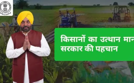 Mann सरकार की बड़ी पहल का असर: Punjab के खेतों में लौटी रौनक, दशकों बाद Canal Water पहुँचा – किसानों में खुशी की लहर