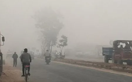 पंजाब में कल से घने कोहरे का अलर्ट:आदमपुर 3.0 डिग्री तापमान के साथ सबसे ठंडा, चंडीगढ़ का AQI 163