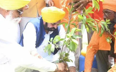 मान सरकार का ग्रीनिंग पंजाब मिशन :12,55,700 रिकॉर्ड वृक्षारोपण से पंजाब बना ग्रीन ज़ोन, राज्य की सबसे बड़ी पर्यावरणीय उपलब्धि!