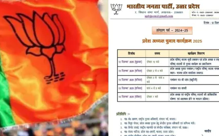 यूपी बीजेपी अध्यक्ष चुनाव के लिए वोटर लिस्ट जारी, जानिए कौन डालेगा Vote, सांसद-विधायक समेत कई MLC भी शामिल