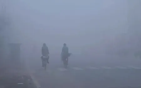 पंजाब में सर्द हवाओं से बढ़ी ठिठुरन:फरीदकोट 5.2 °C के साथ सबसे ठंडा, बठिंडा में पारा 25 डिग्री सेल्सियस