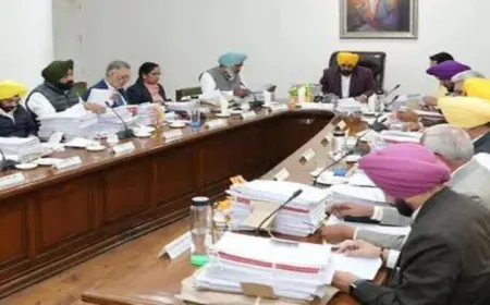 40 साल पुराने विवाद खत्म... मान सरकार ने उद्योगपतियों को दिया सेकंड चांस