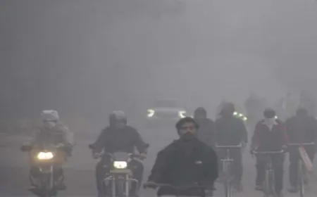 पंजाब के 18 जिलों में आज घने कोहरे का अलर्ट:न्यूनतम पारा सामान्य से अधिक ,लुधियाना सबसे ठंडा