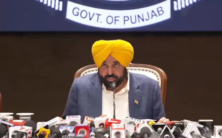 'गोली चलाई तो मां की गोद में नहीं सोएंगे गैंगस्टर'; CM भगवंत मान ने गैंगस्टरों को दे डाली चेतावनी