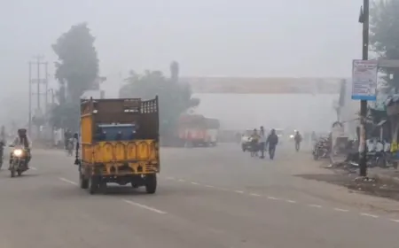 पंजाब-चंडीगढ़ में 3 दिन घने कोहरे का अलर्ट:आदमपुर में 4.8 डिग्री तापमान के साथ सबसे कम, 20 को बारिश की संभावना