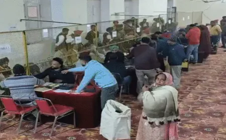 Punjab Nikay Chunav Result: जिला परिषद, पंचायत समिति चुनाव नतीजों में AAP की आंधी, कांग्रेस- अकाली पीछे