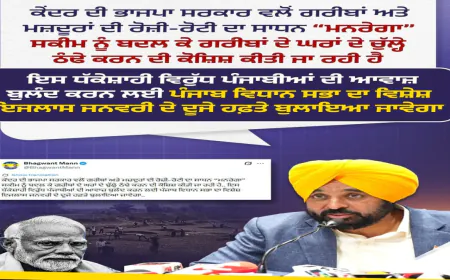 केंद्र की VB-G RAM G योजना पर भड़के मुख्यमंत्री मान, मनरेगा में बदलाव को बताया गरीबों पर हमला