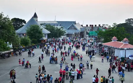 हिमाचल में 5 दिन साफ रहेगा मौसम:28 दिसंबर को बर्फबारी के आसार, मंडी-बिलासपुर में घने कोहरे का अलर्ट