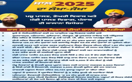 मान सरकार ने बचाई ग्रामीण अर्थव्यवस्था की रीढ़: बाढ़ संकट में पशुधन बचाने 24 घंटे जुटा रहा विभाग, 492 टीमें, 3.19 लाख पशुओं का किया इलाज