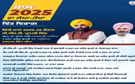 BJP द्वारा साहिब श्री गुरू गोबिंद सिंह जी और उनके चार साहिबजादों को कार्टून रूप में दिखाने वाली पोस्ट असहनीय, निंदनीय और दुर्भाग्यपूर्ण: संधवां